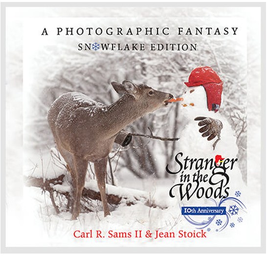 Pre-K Story Time: Stranger in the Woods