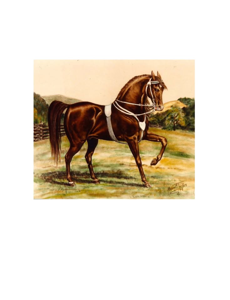 The Lippitt Country Show
