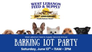 Barking Lot Party