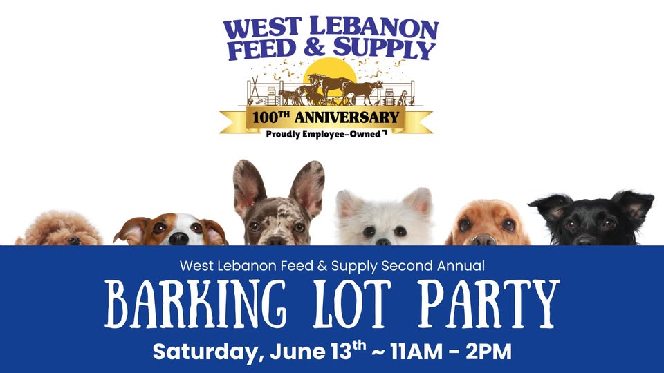 Barking Lot Party