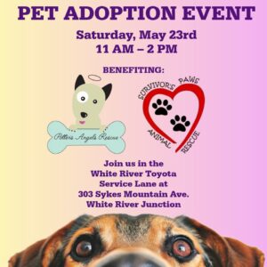 Pet Adoption Event at White River Toyota
