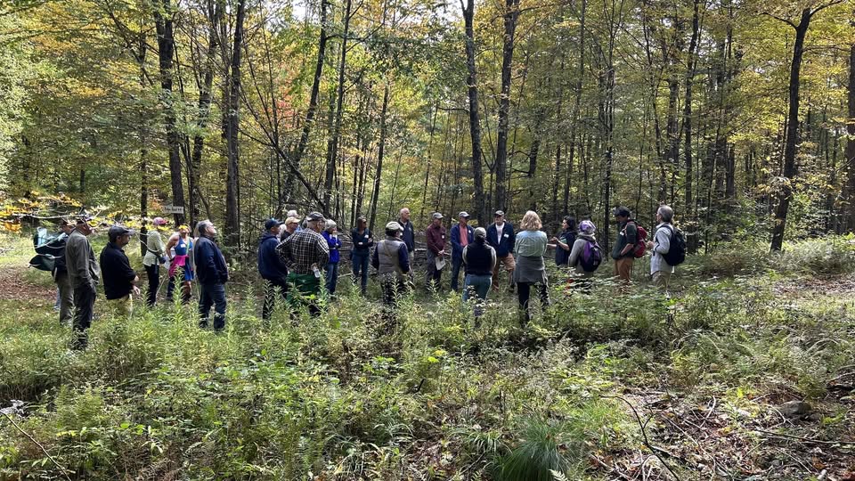 Caring for Your Woods: A Half-Day, Hands-On Workshop for Landowners