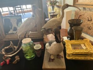 Indoor Deaccession Sale
