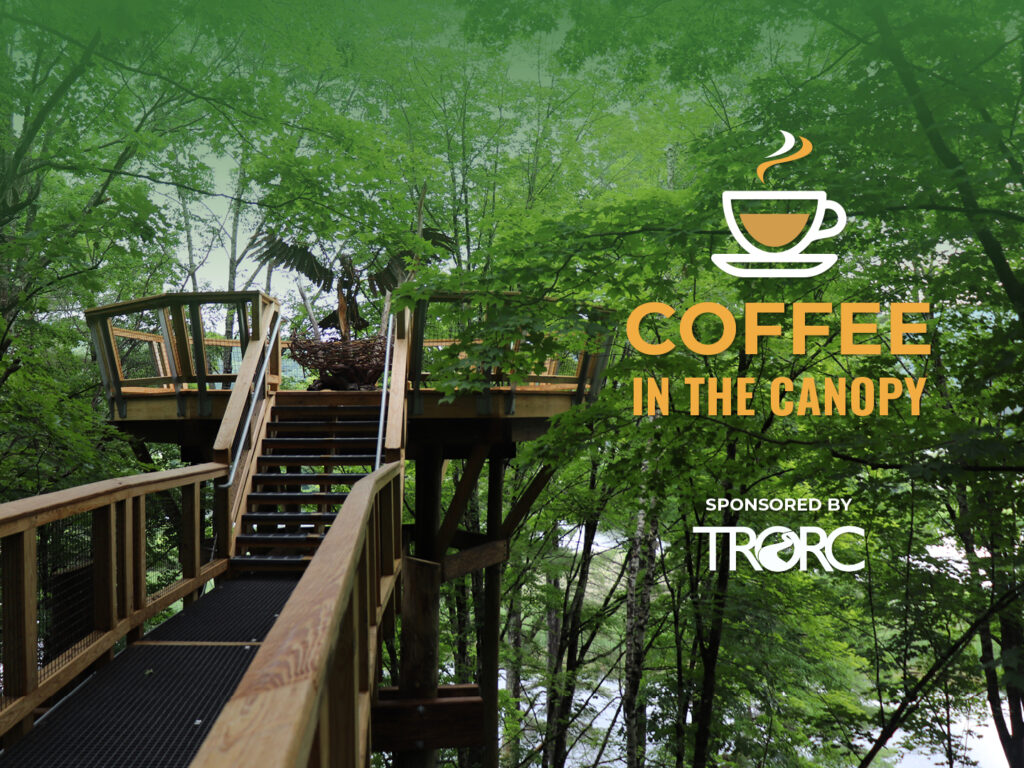 Coffee in the Canopy