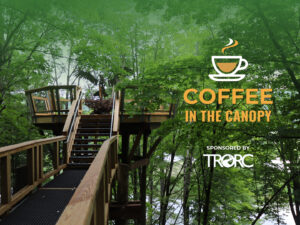 Coffee in the Canopy