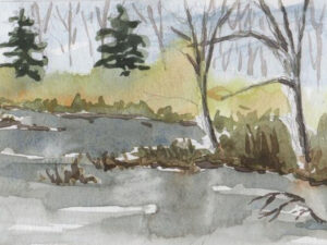 Intro to Nature Journaling