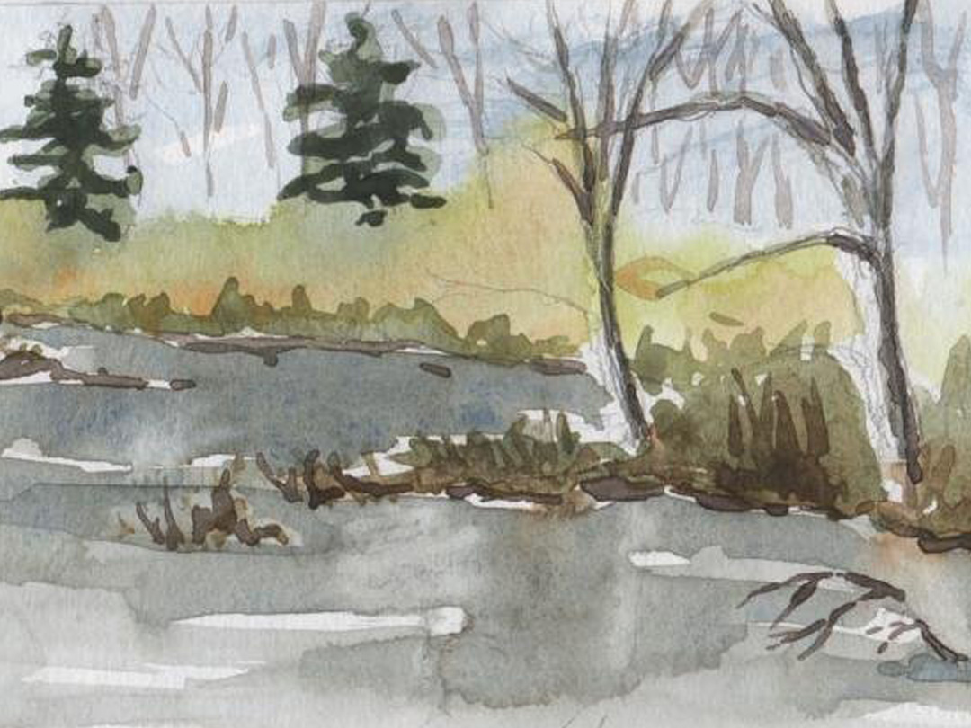 Intro to Nature Journaling