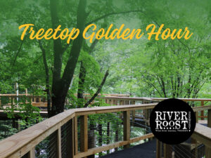 Treetop Golden Hour