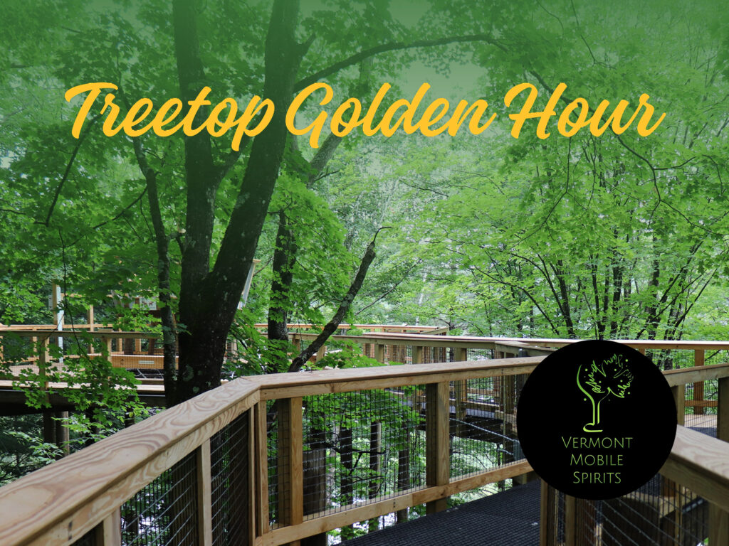 Treetop Golden Hour
