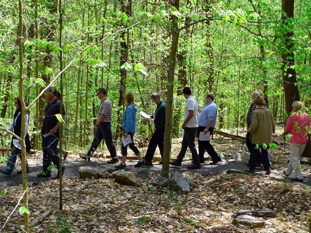 Woodland Wildlife Walk