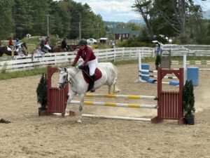 Schooling Jumper Show #2
