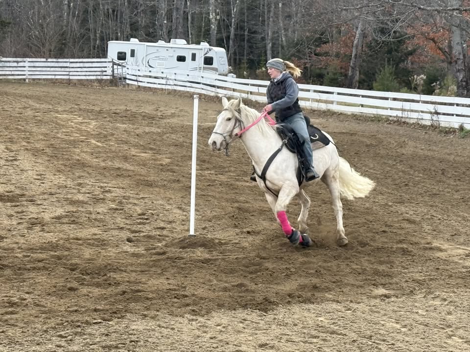 Family Gymkhana at GPEC