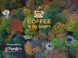 Coffee in the Canopy