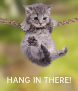 Weekly Recurring Recovery Meeting