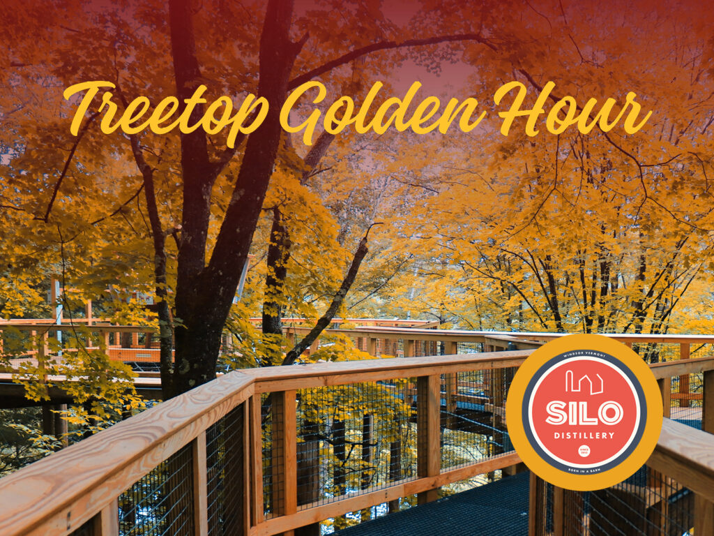 Treetop Golden Hour