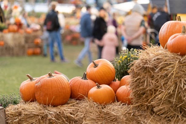 Fall Family Fun Festival